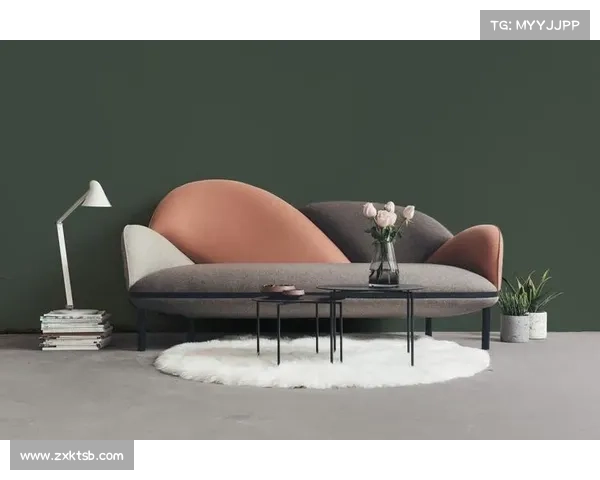 围绕法甲冠军标志五大设计要素的创新解析与视觉美学探讨全景呈现 围绕法甲冠军标志五大设计要素的创新解析与视觉美学探讨全景呈现