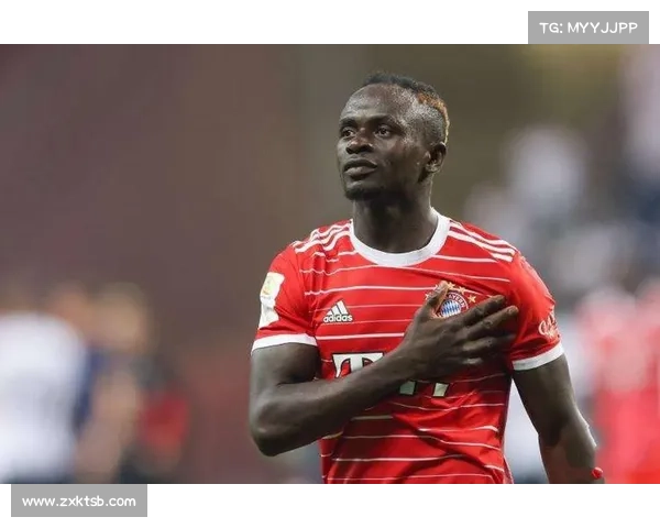 拜仁马内回归时间表全面解析 揭示伤愈复出进程及对球队影响